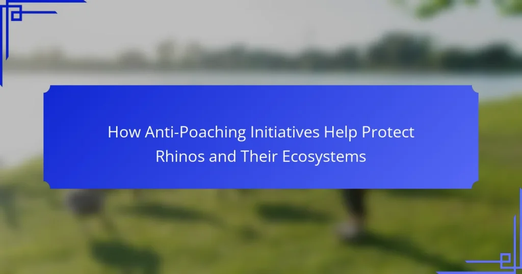 How Anti-Poaching Initiatives Help Protect Rhinos and Their Ecosystems