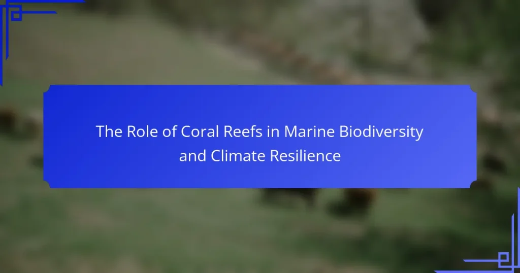 The Role of Coral Reefs in Marine Biodiversity and Climate Resilience