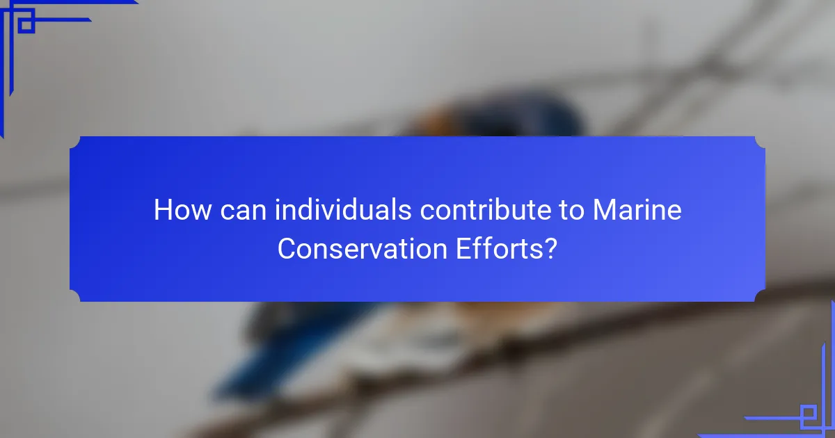 How can individuals contribute to Marine Conservation Efforts?