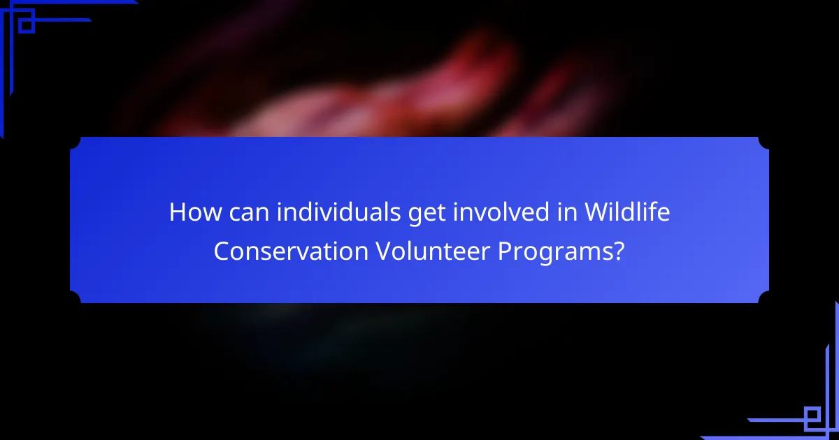 How can individuals get involved in Wildlife Conservation Volunteer Programs?