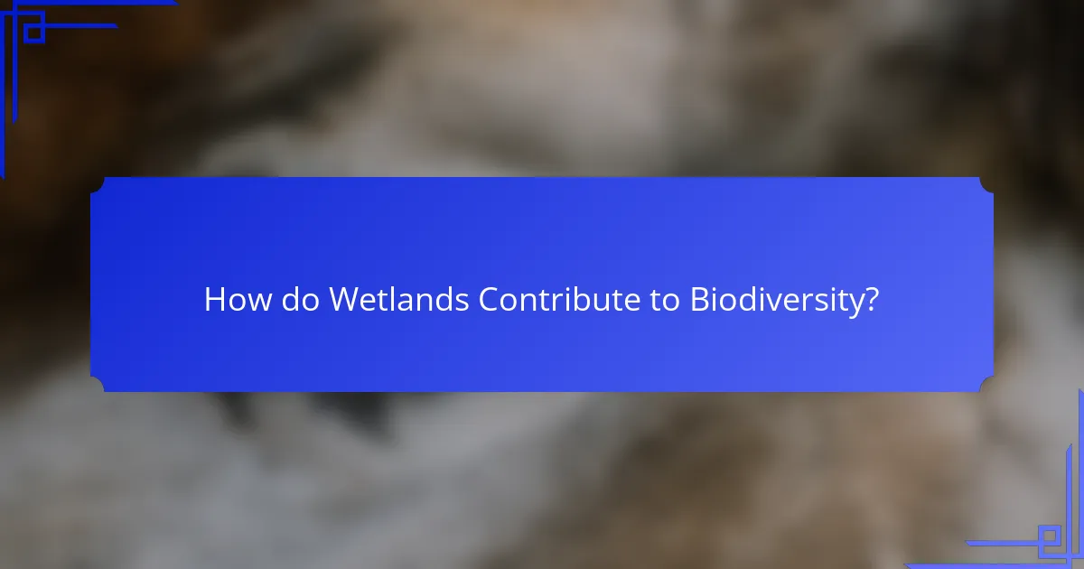 How do Wetlands Contribute to Biodiversity?
