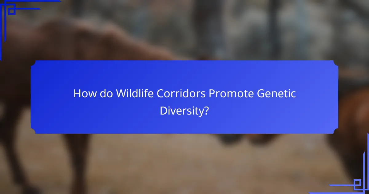 How do Wildlife Corridors Promote Genetic Diversity?
