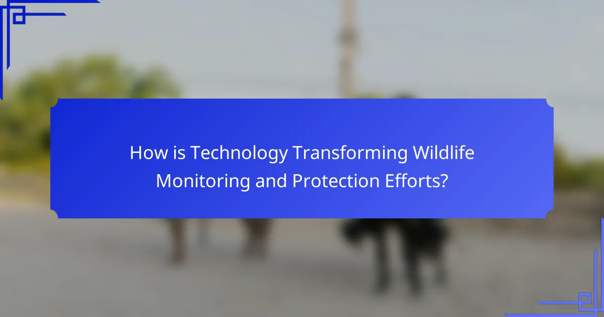 How is Technology Transforming Wildlife Monitoring and Protection Efforts?