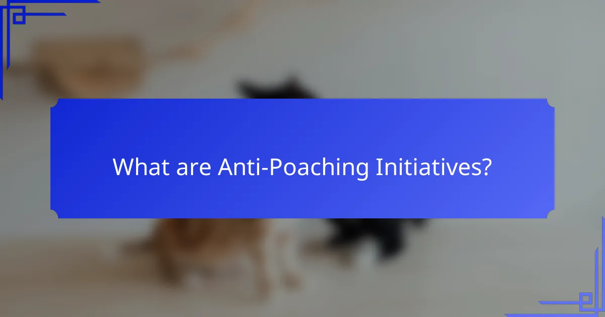 What are Anti-Poaching Initiatives?