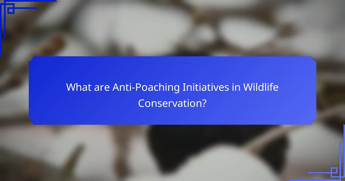 What are Anti-Poaching Initiatives in Wildlife Conservation?