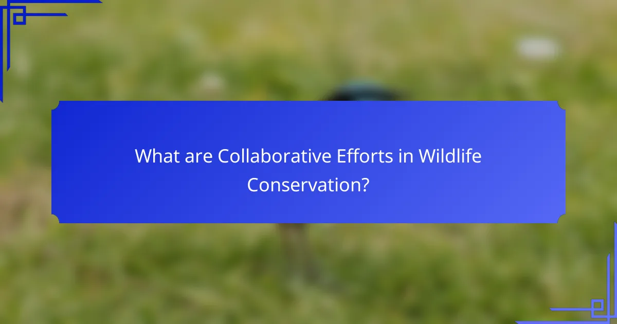 What are Collaborative Efforts in Wildlife Conservation?