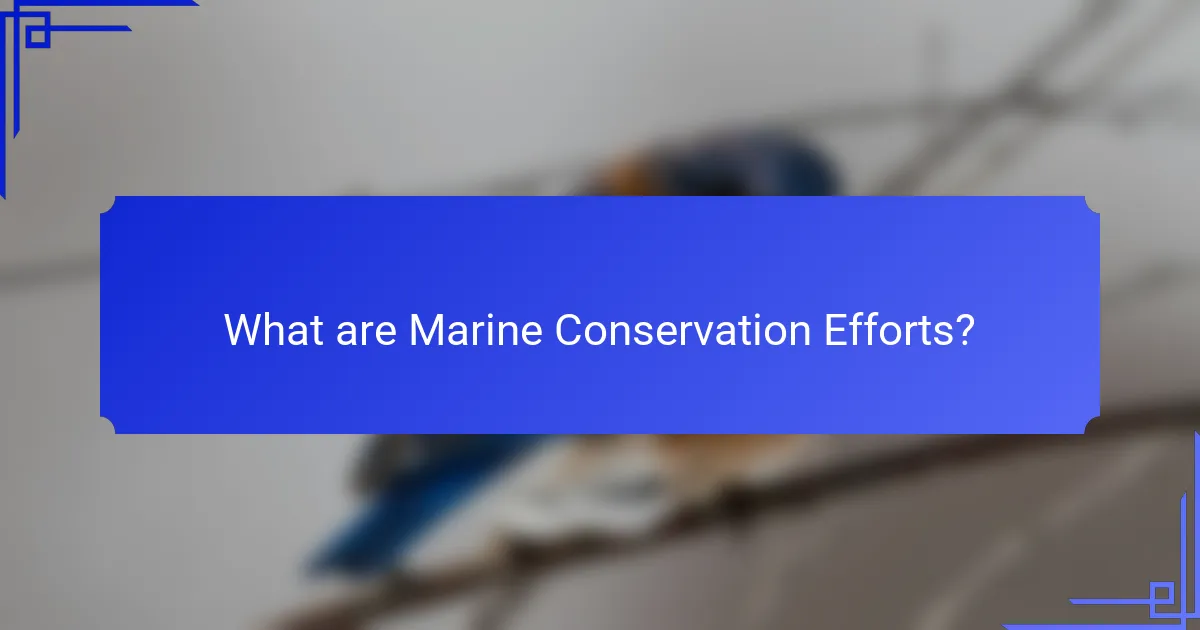 What are Marine Conservation Efforts?