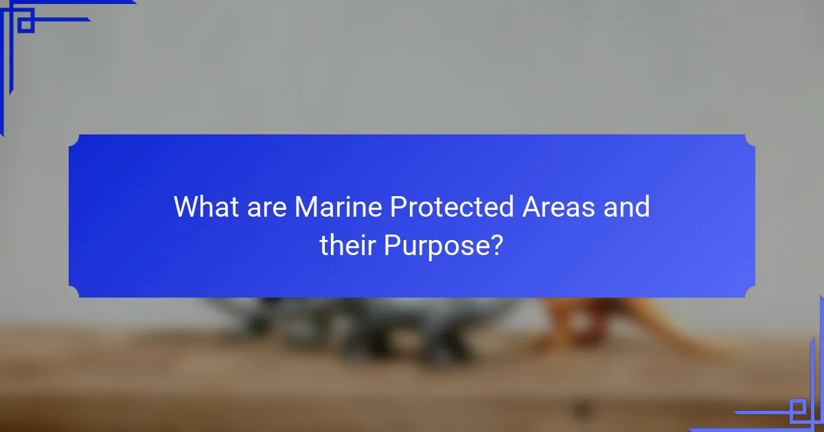What are Marine Protected Areas and their Purpose?