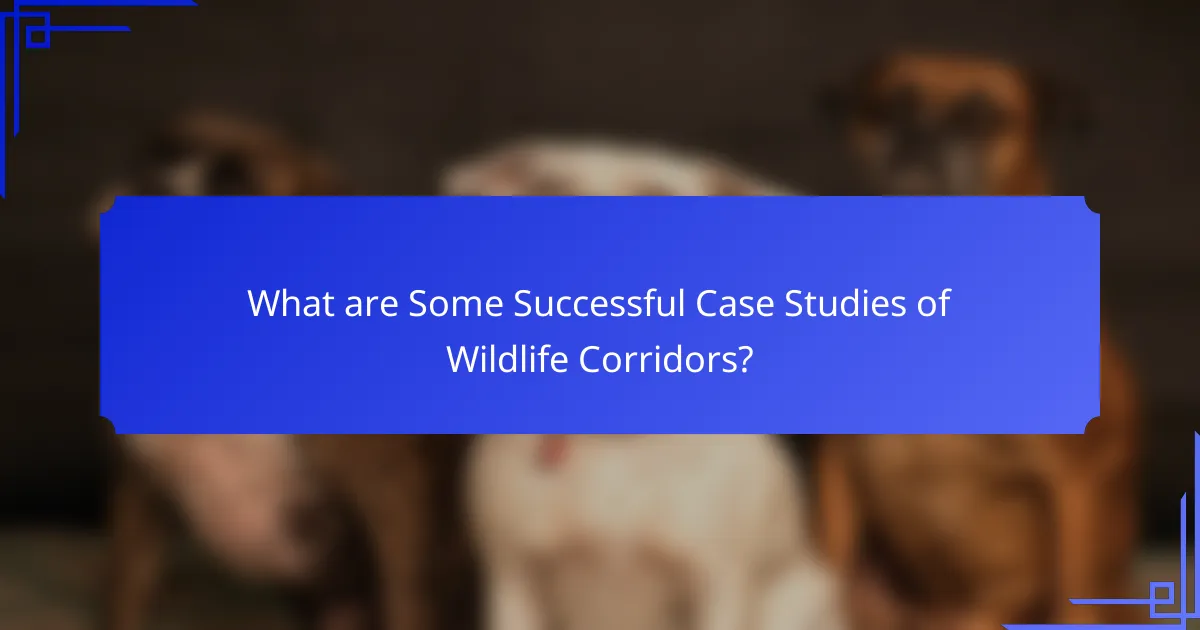 What are Some Successful Case Studies of Wildlife Corridors?