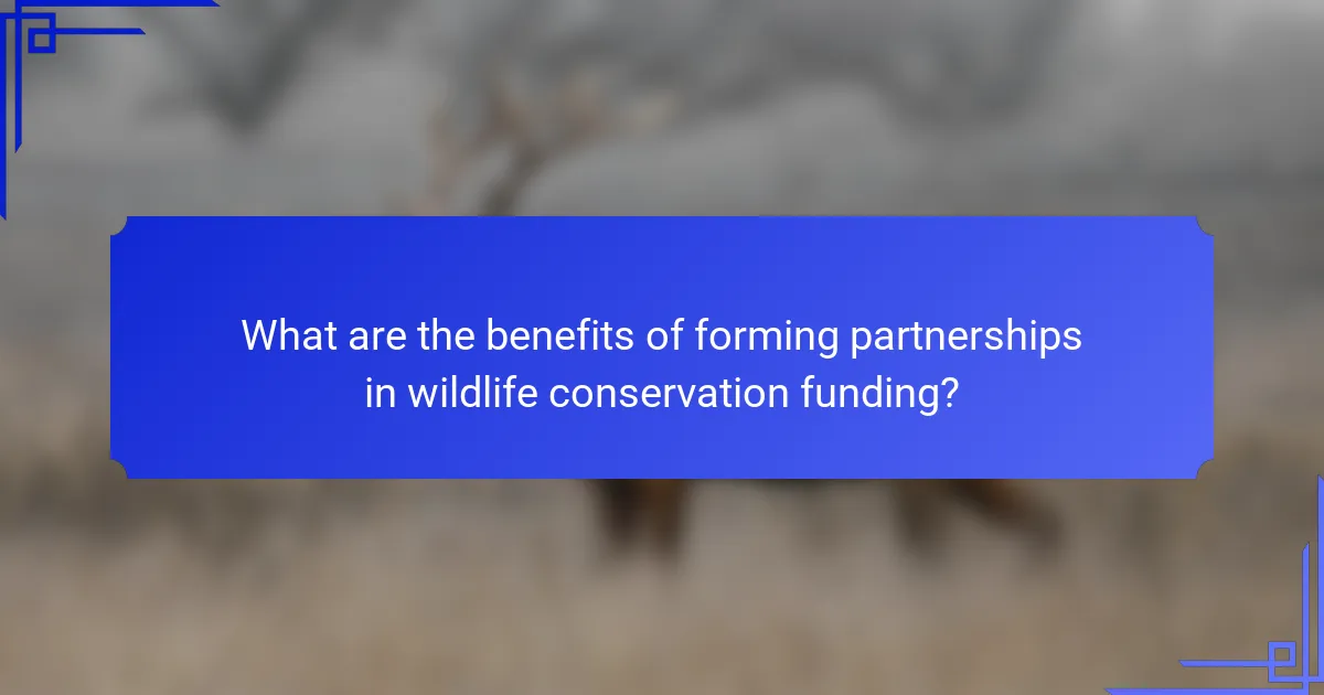 What are the benefits of forming partnerships in wildlife conservation funding?