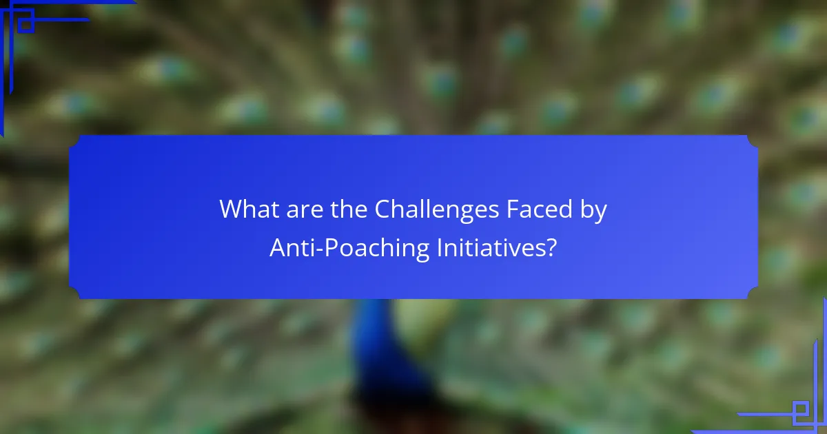 What are the Challenges Faced by Anti-Poaching Initiatives?