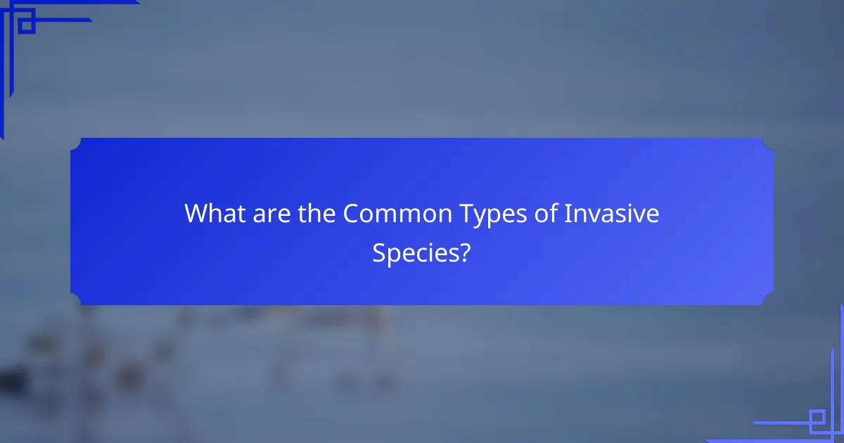 What are the Common Types of Invasive Species?