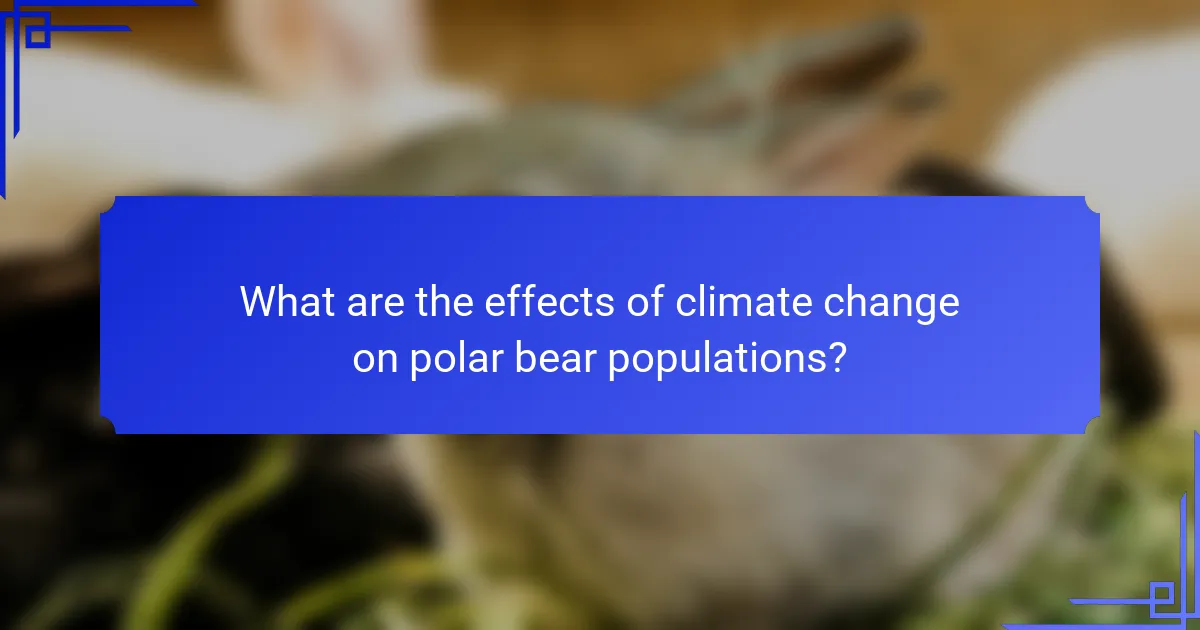 What are the effects of climate change on polar bear populations?