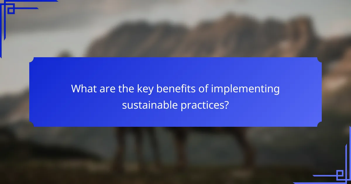 What are the key benefits of implementing sustainable practices?