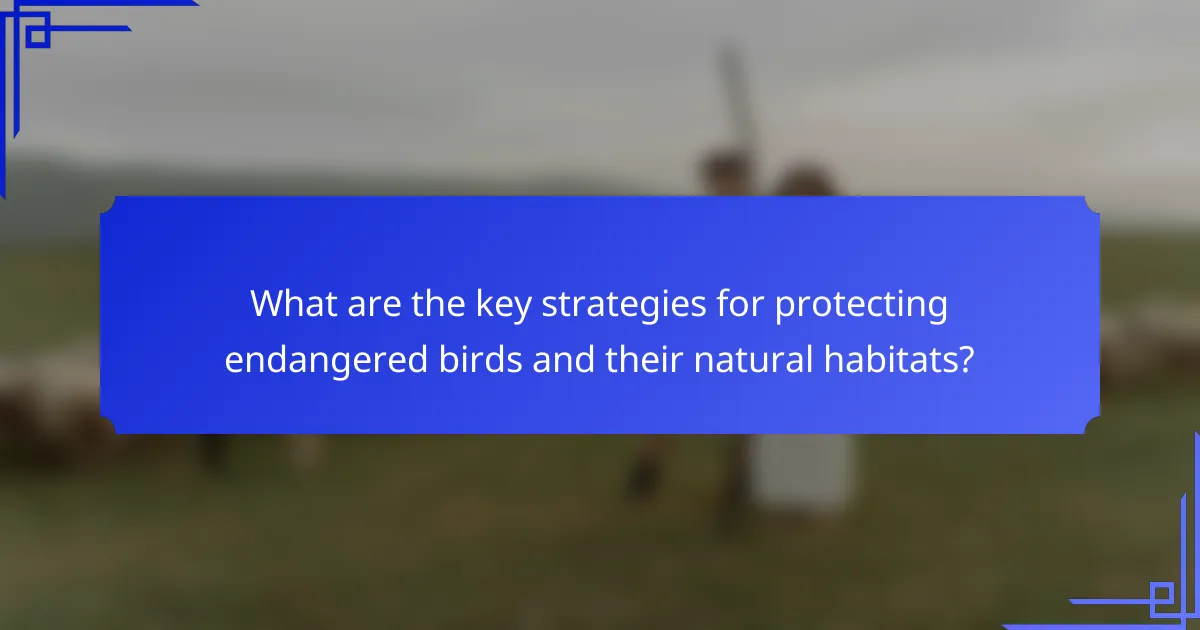 What are the key strategies for protecting endangered birds and their natural habitats?