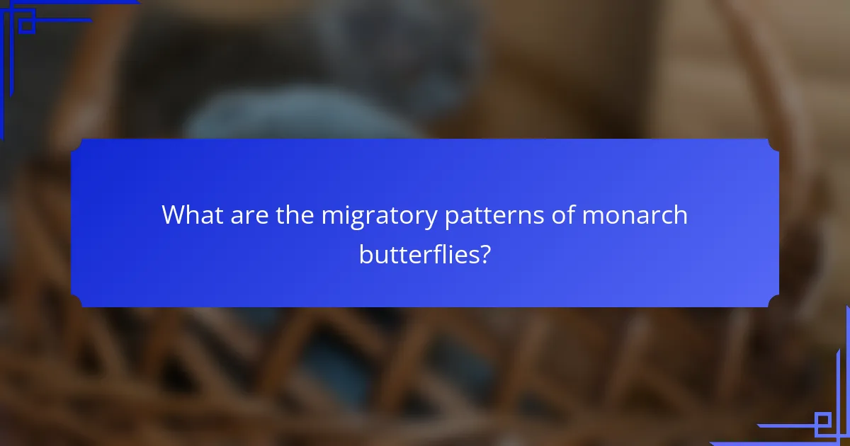 What are the migratory patterns of monarch butterflies?