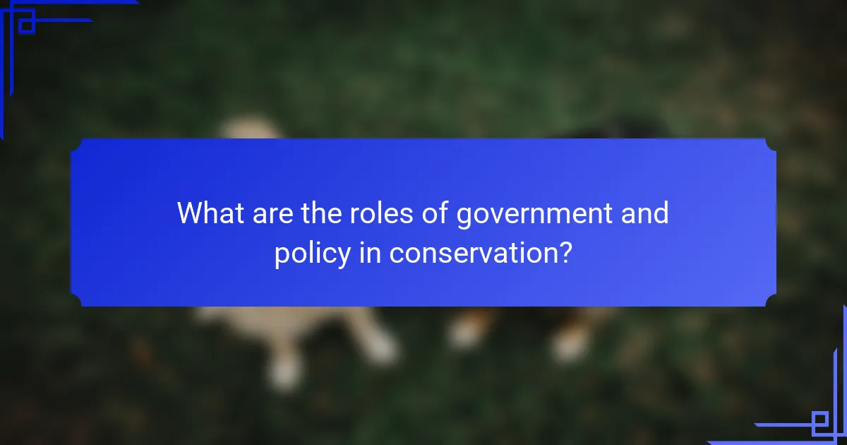 What are the roles of government and policy in conservation?