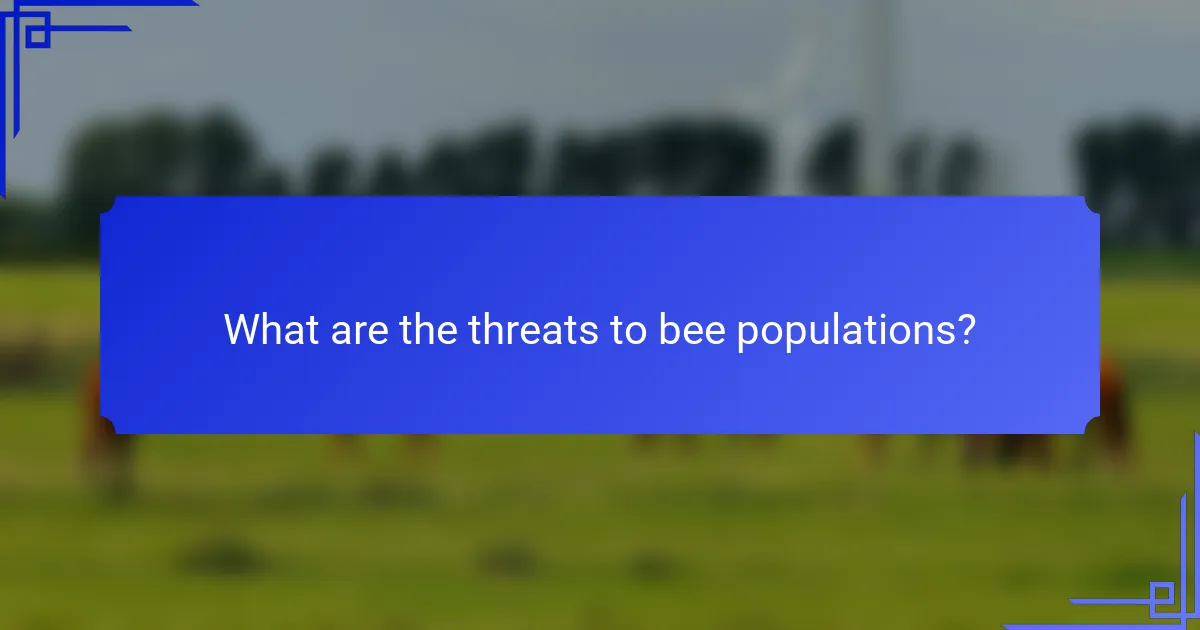 What are the threats to bee populations?