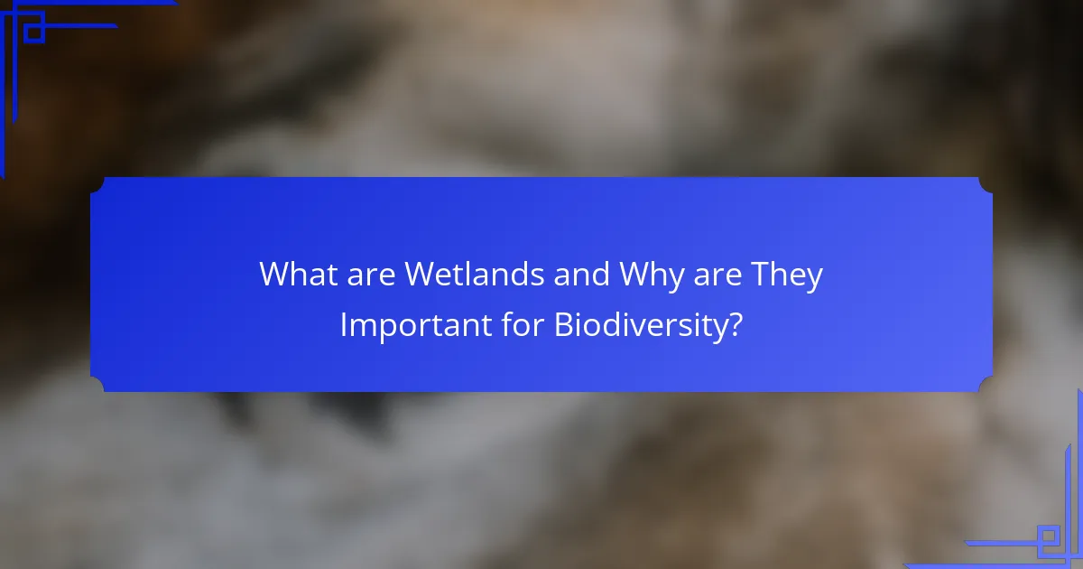 What are Wetlands and Why are They Important for Biodiversity?