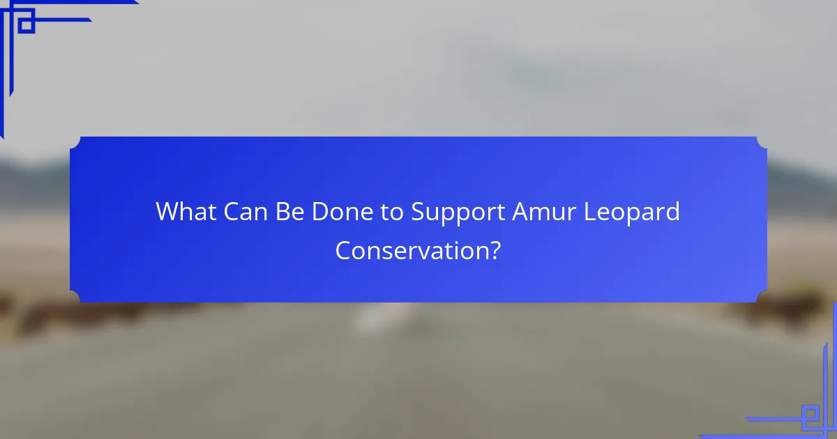 What Can Be Done to Support Amur Leopard Conservation?
