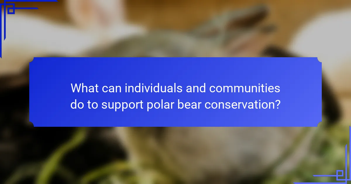 What can individuals and communities do to support polar bear conservation?