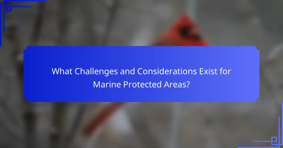 What Challenges and Considerations Exist for Marine Protected Areas?