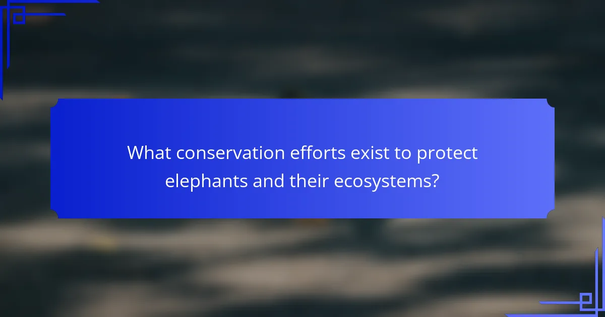 What conservation efforts exist to protect elephants and their ecosystems?