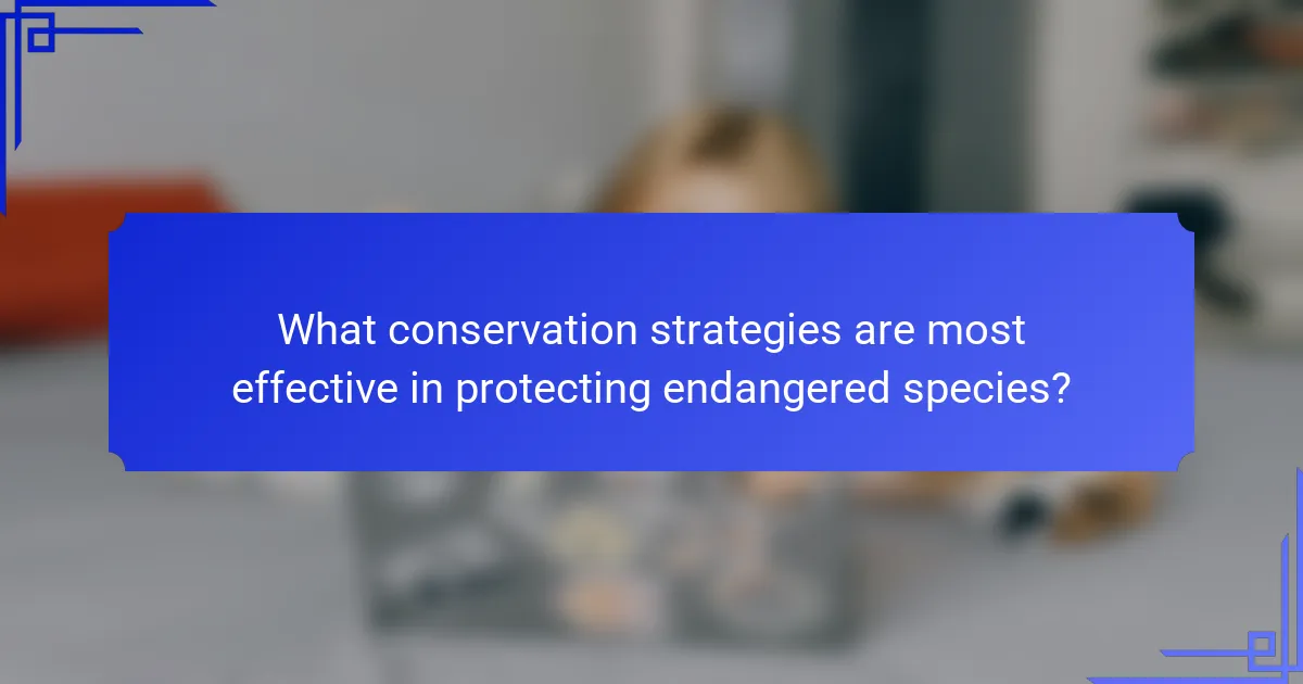 What conservation strategies are most effective in protecting endangered species?
