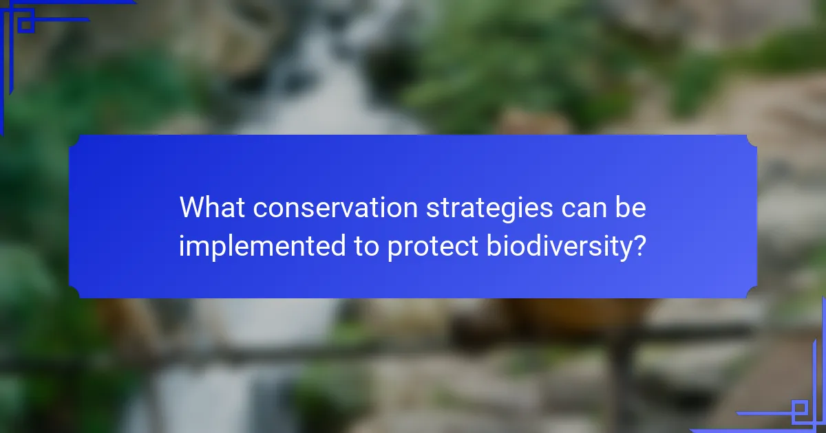 What conservation strategies can be implemented to protect biodiversity?