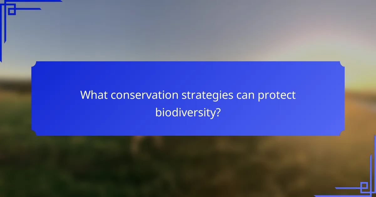 What conservation strategies can protect biodiversity?