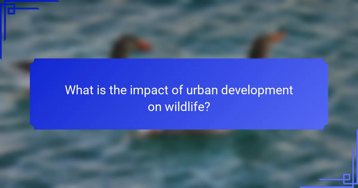 What is the impact of urban development on wildlife?