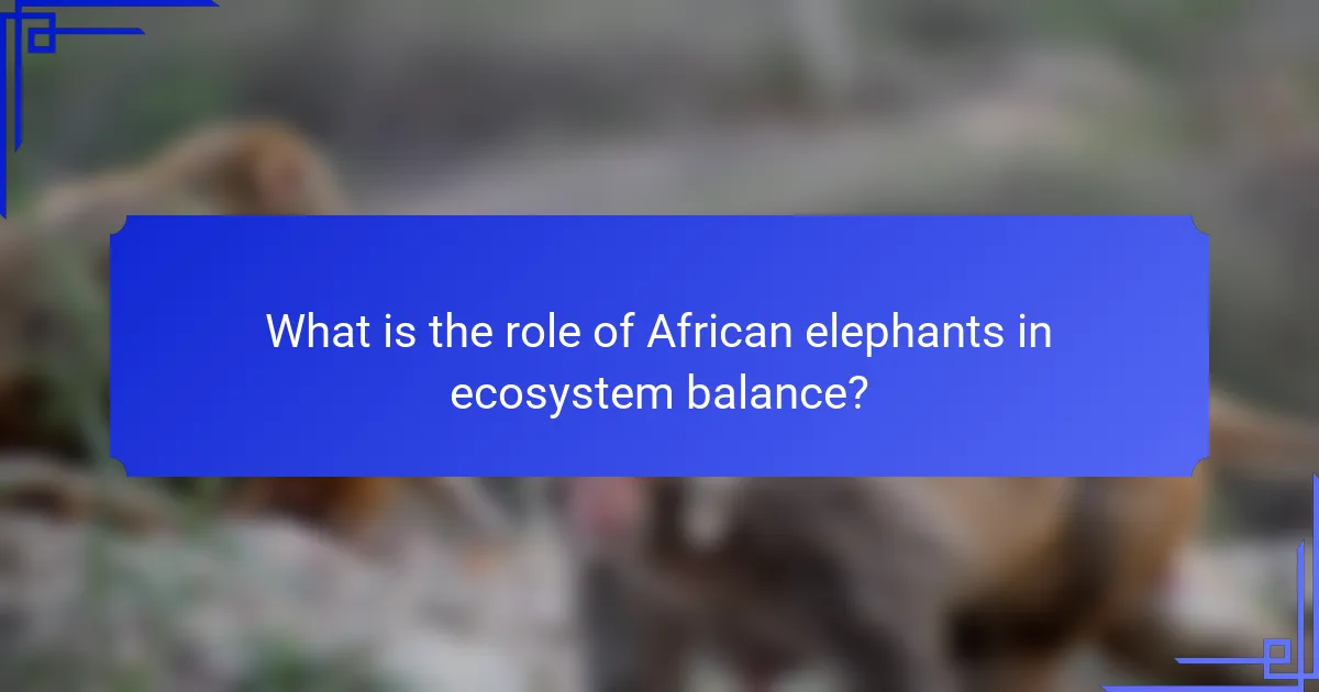 What is the role of African elephants in ecosystem balance?