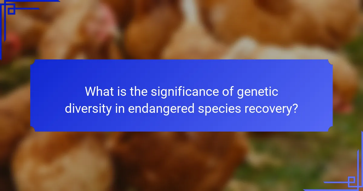 What is the significance of genetic diversity in endangered species recovery?