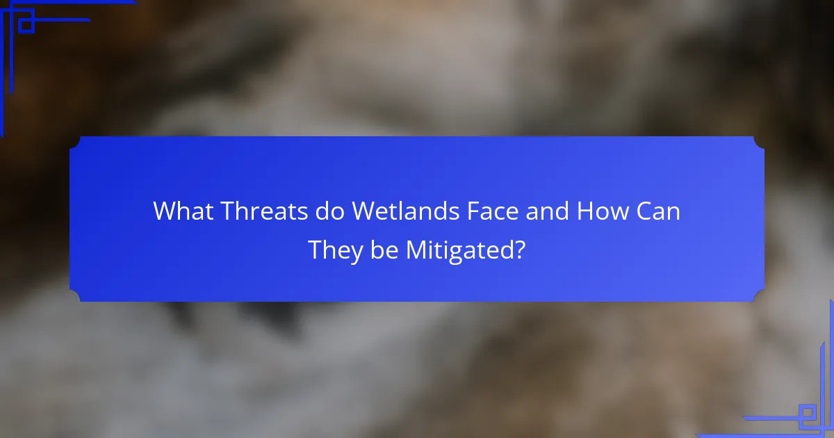 What Threats do Wetlands Face and How Can They be Mitigated?